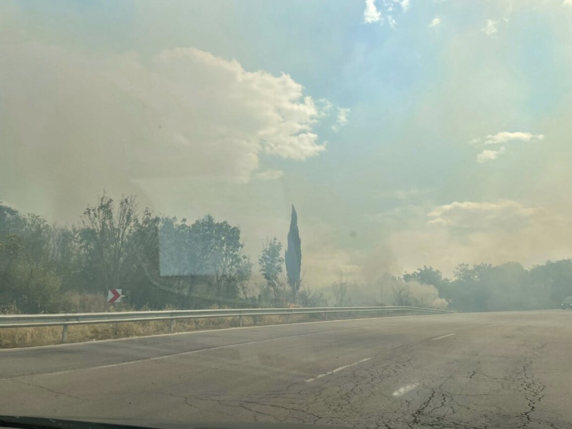 Пожар пламна до Провадия