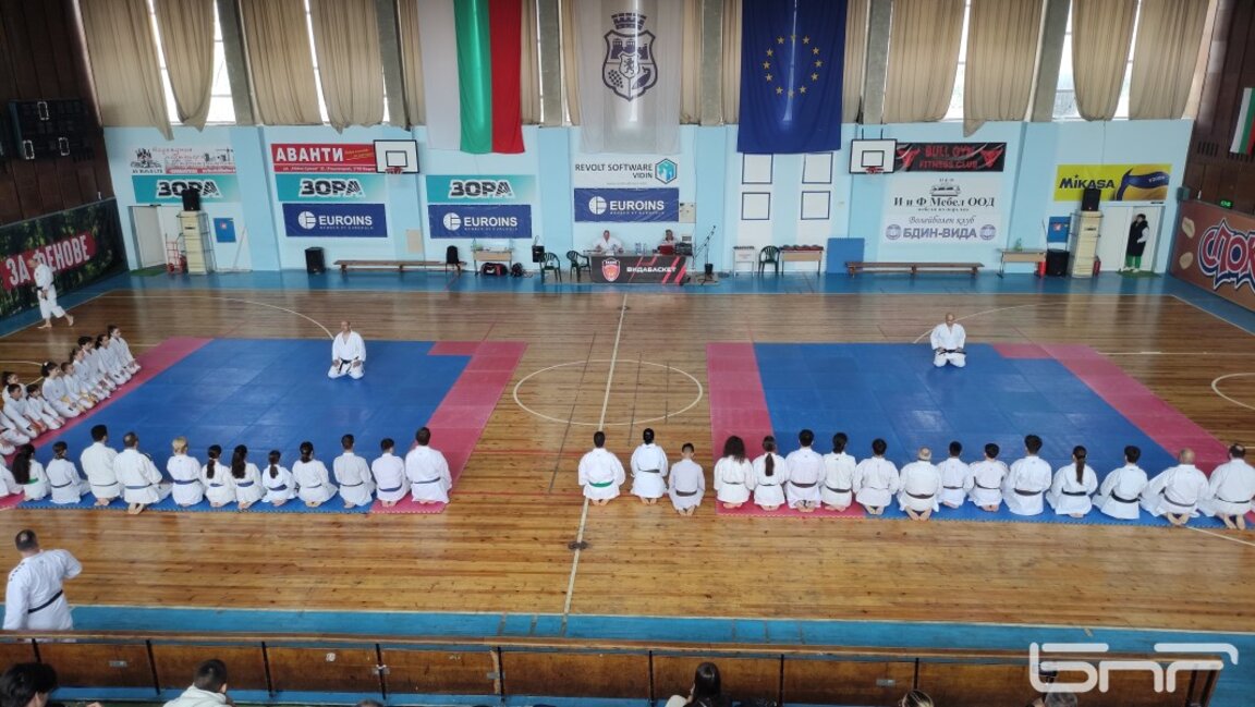 Голям балкански карате семинар във Видин (СНИМКИ)