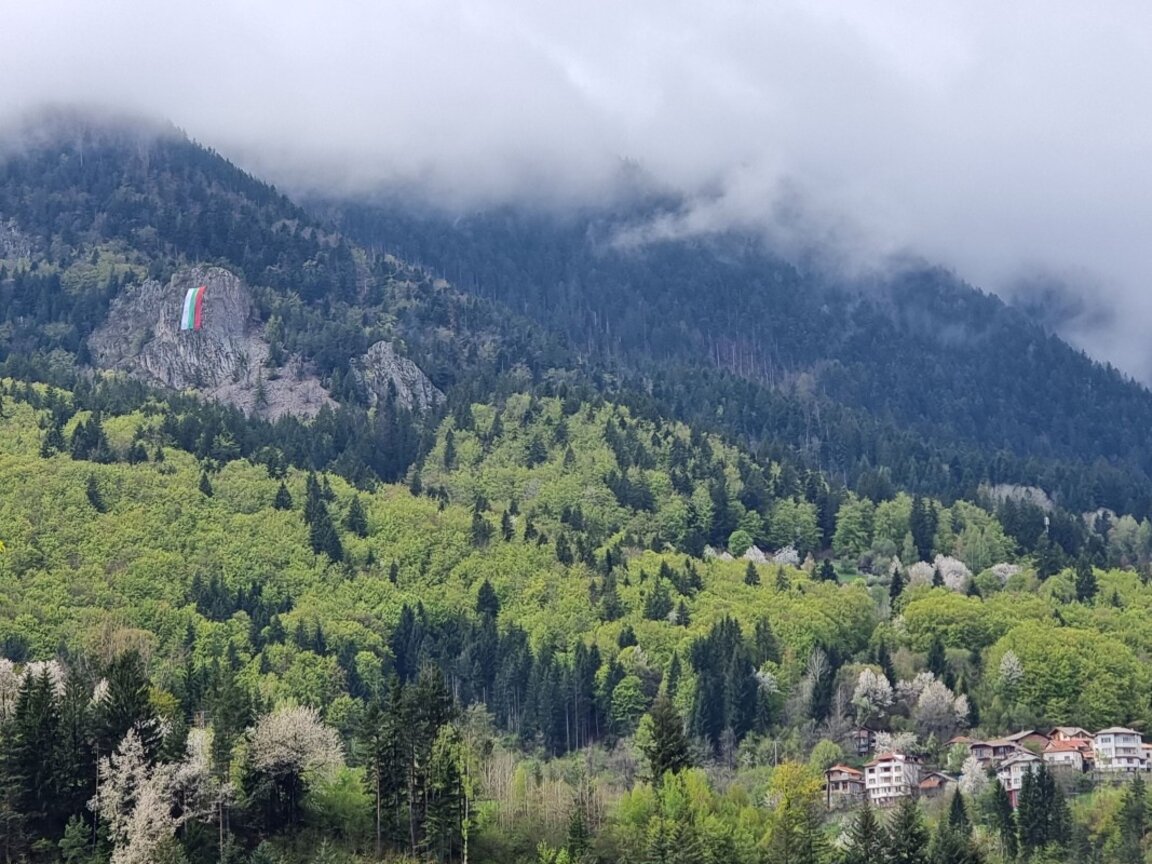 BTA
