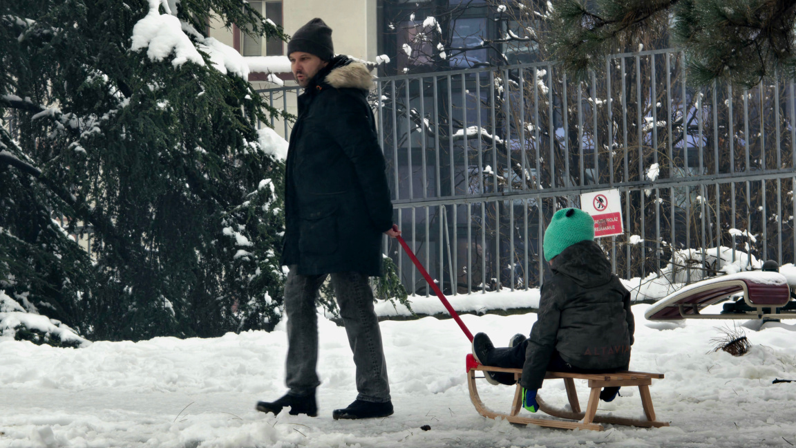 На 5 януари в Белград заради натрупалия сняг за кратко общественият транспорт бе затруднен. Паднали клони на дървета и един електрически стълб върху спрени автомобили в центъра на сръбската столица,  не попречиха  на първото каране на шейни и игра със снежни топки в парковете.