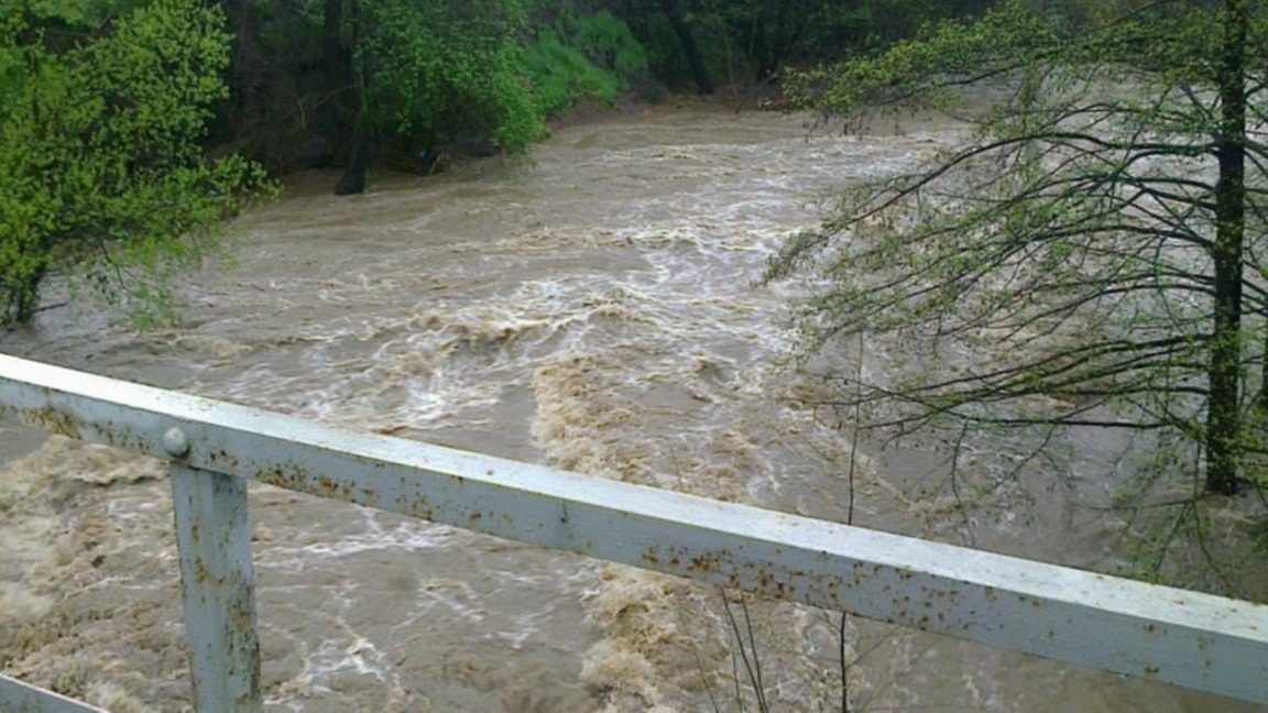 Видин, река