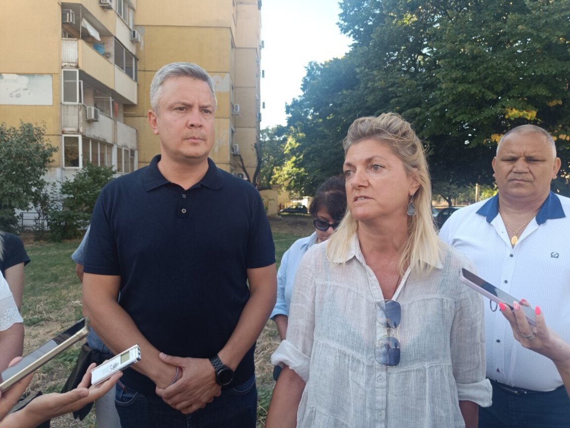 В Стара Загора започва намаляване на короните и отстраняването на опасни и сухи дървета