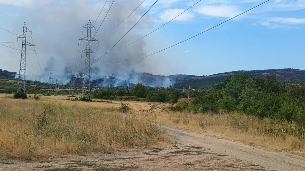 Пожарът в Рупите е локализиран