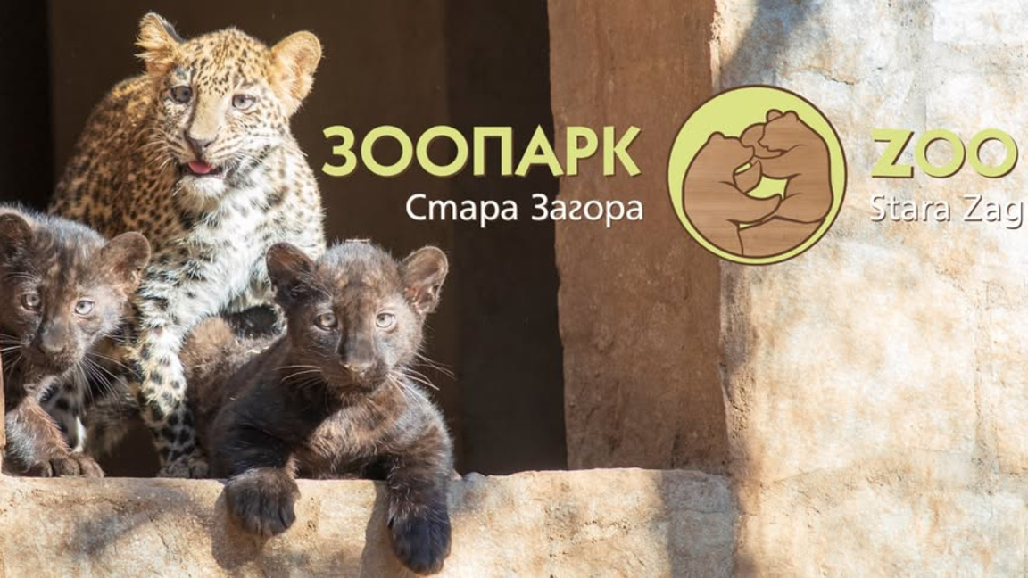 Доброволци се включват в грижата за Зоопарка в Стара Загора 