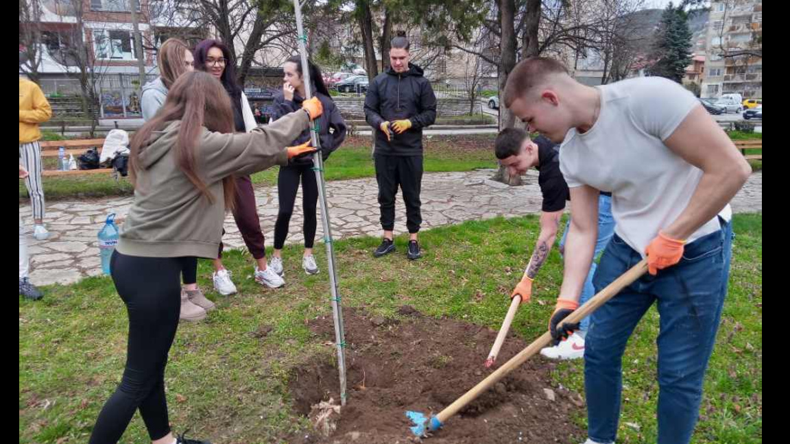 Пролетно залесяване започва в Кюстендил
