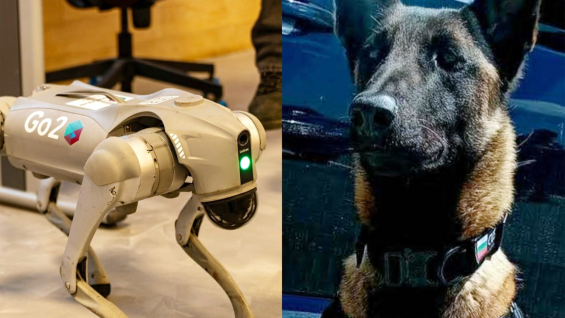 Zollhund und Roboterhund treffen sich beim Teen Boom Fest ’26 in Burgas