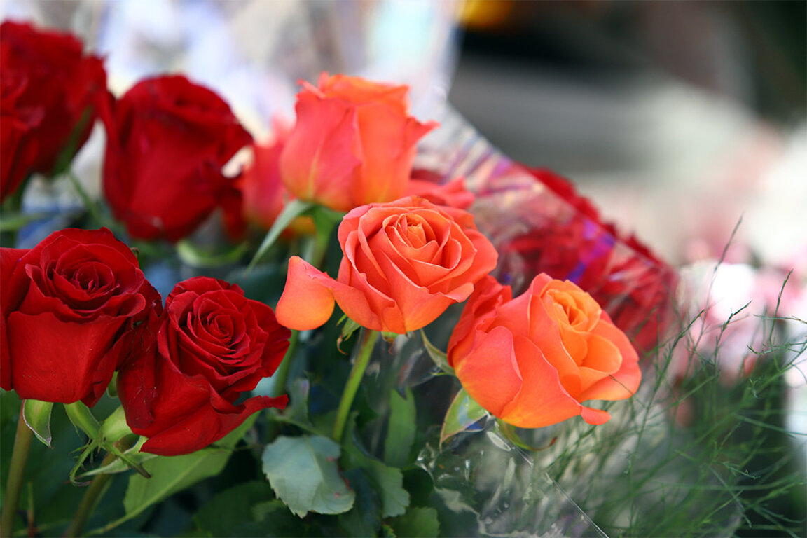Poll: The majority of Bulgarians celebrate 8 March