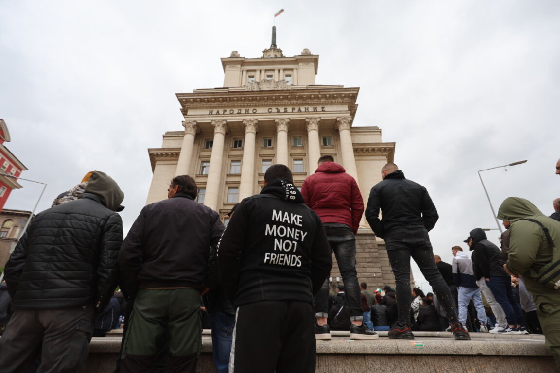 Протест пред НС: Не убивайте сектора с гъбите!