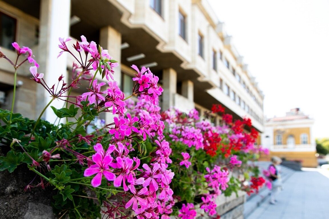 Младежи стават министри