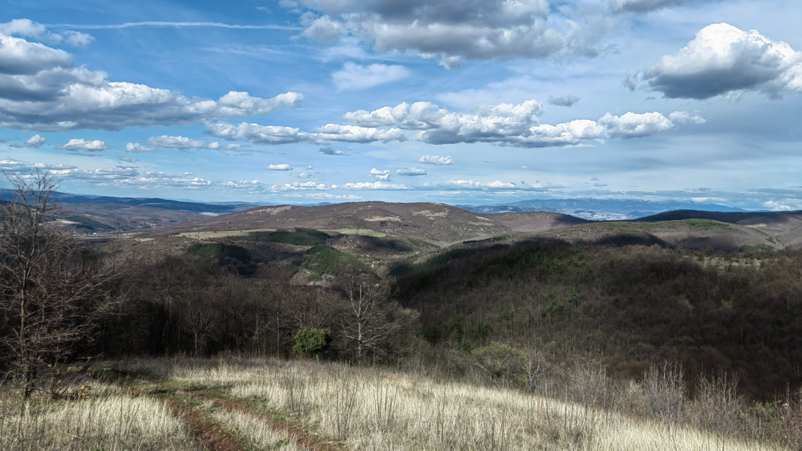 Солнечный и теплый для сезона день...