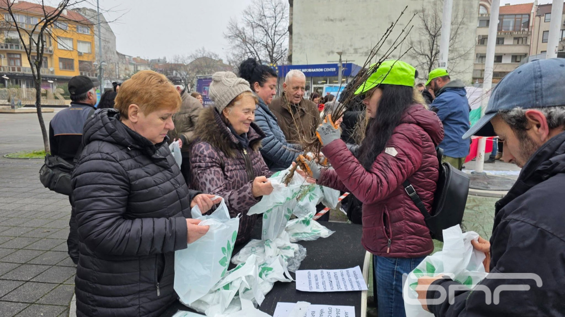 25 000 дръвчета бяха раздадени в центъра на Бургас