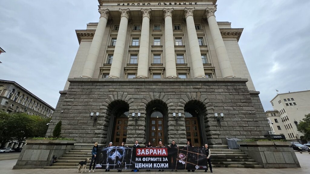 България на крачка от закон за забрана на фермите за кожи