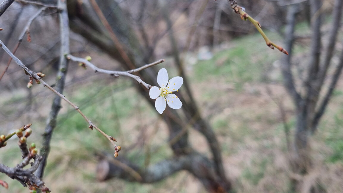 The end of the week comes with warm weather and scattered clouds