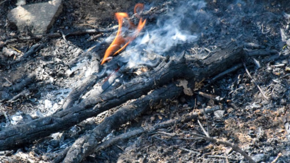 Снимката е илюстративна, архив.