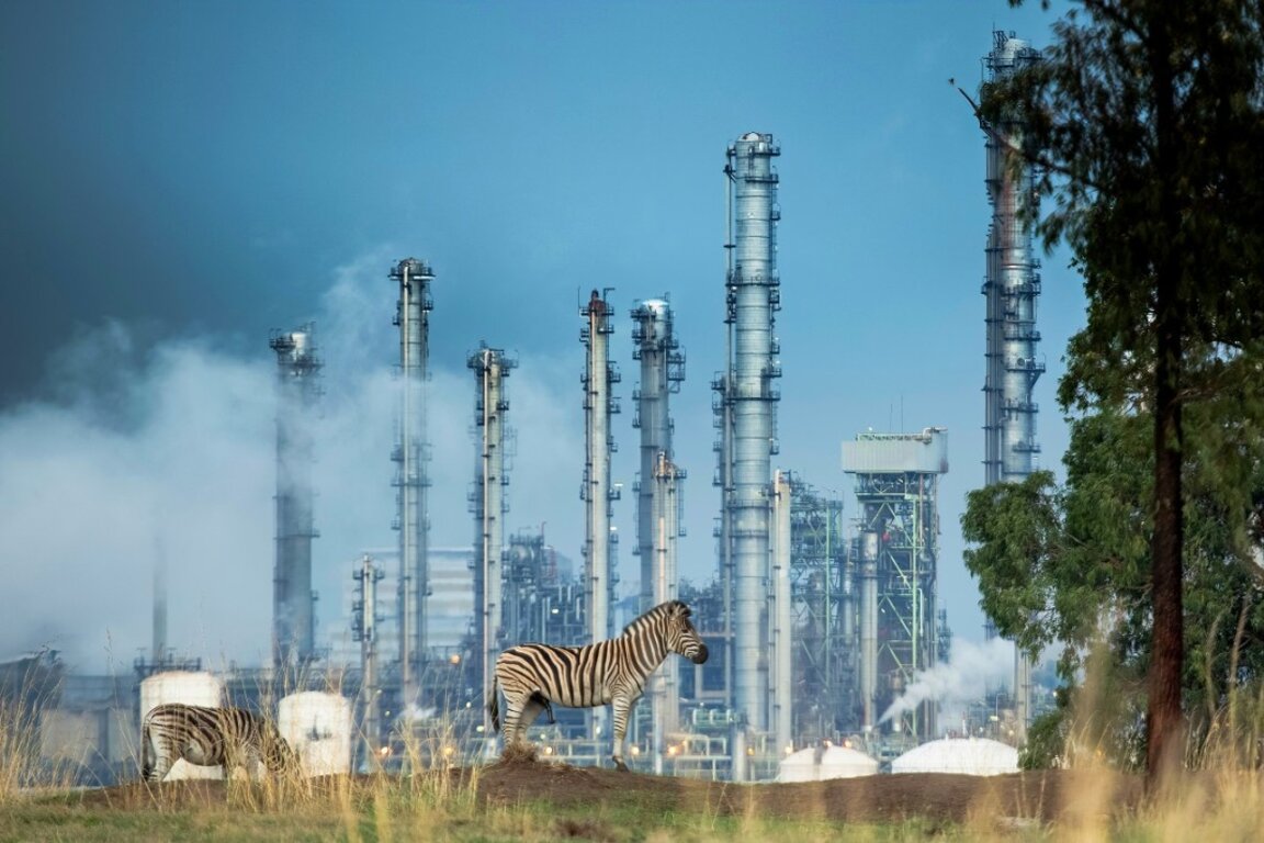 WWF подава ръка на домакинствата в енергийна бедност