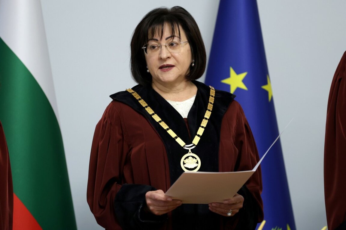 Павлина Панова, председатель Конституционного суда