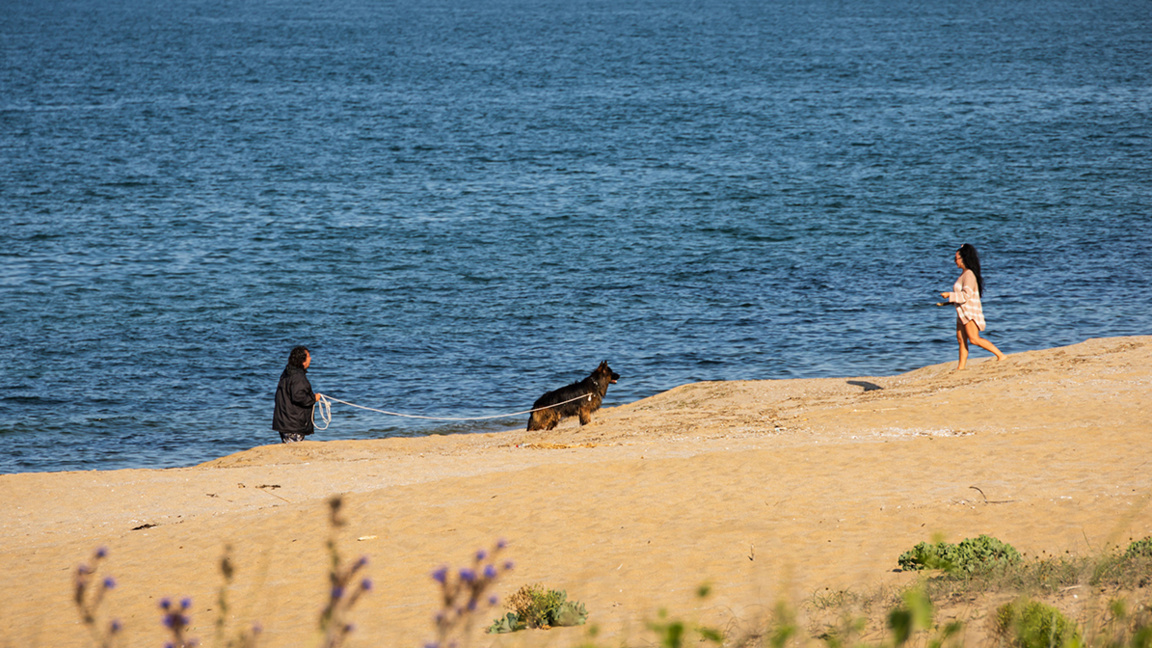 Bulgarian Black Sea waters rank among Europe's cleanest