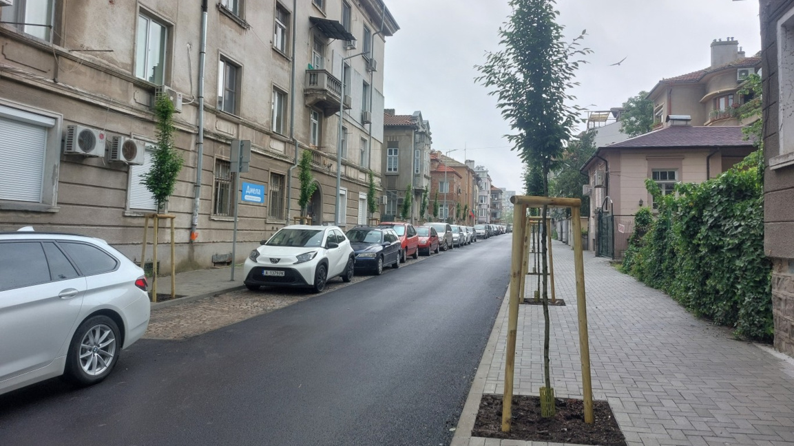 Засаждат 89 нови дървета по време на ремонта на улица "Асен Златаров"