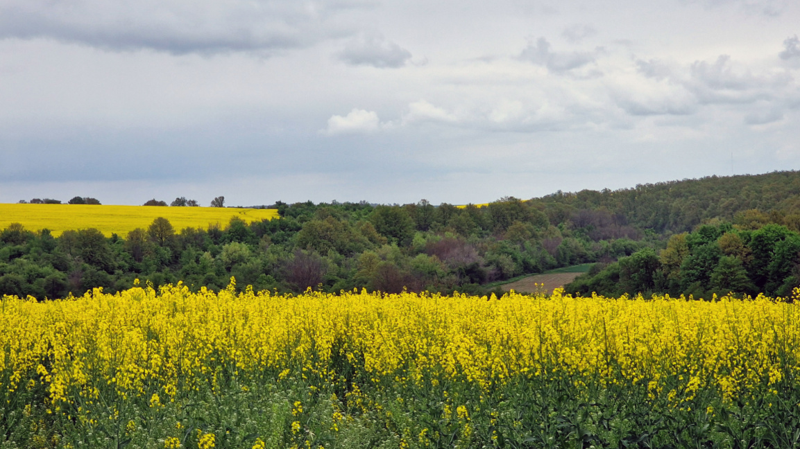 Weather will be changeable with rainfall in some places
