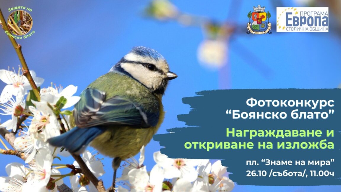 Изложба представя най-добрите кадри от фотоконкурса "Боянското блато"