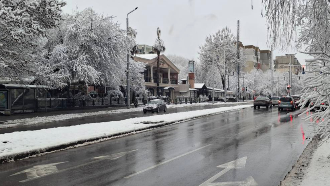 Над 70 са сигналите за паднали дървета и клони в Пловдив и региона