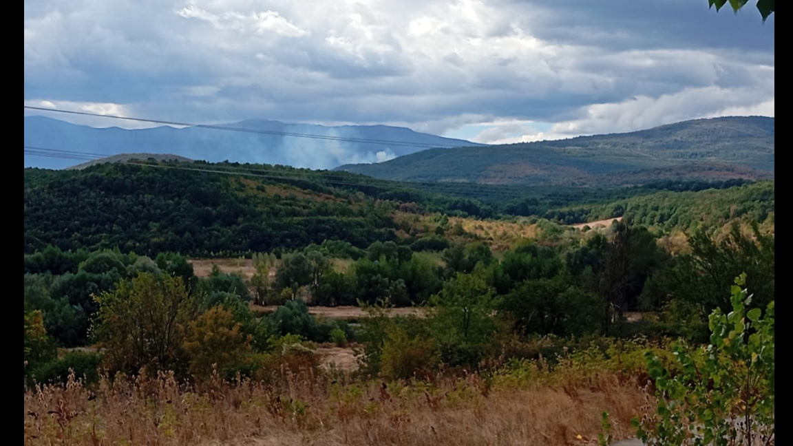 Възобнови се пожарът в гората над берковското село Лесковец