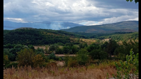 Възобнови се пожарът в гората над берковското село Лесковец