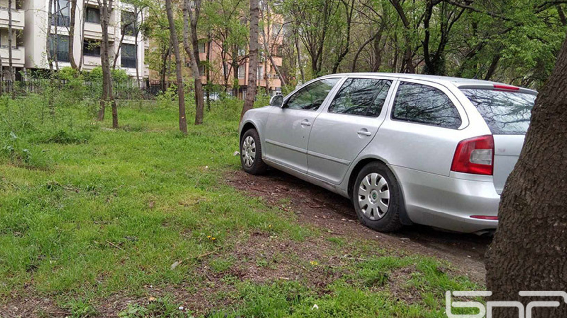 зелени площи