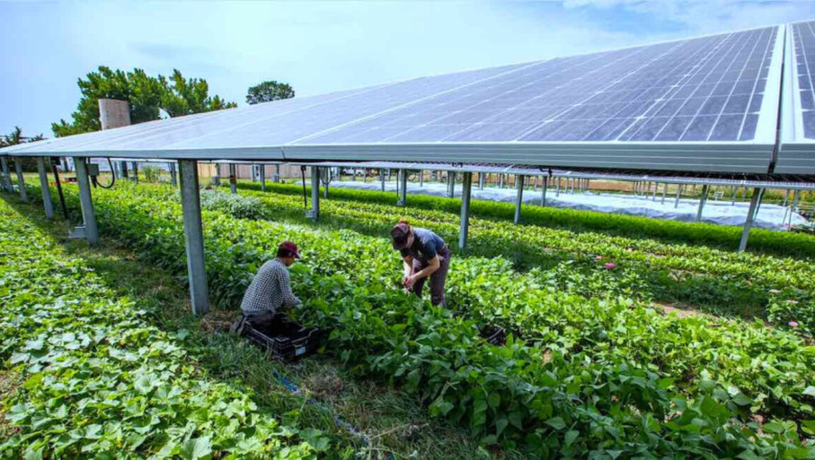 Снимката е илюстративна