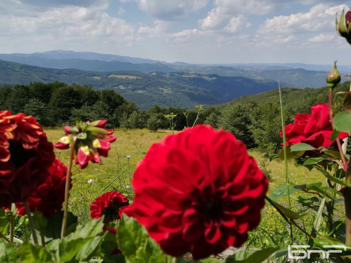 Wetteraussichten für das Wochenende