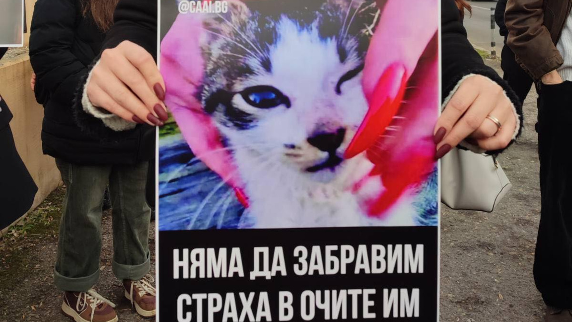 Активисти: Ще продължим да искаме максимални присъди за Габриела и Красимир