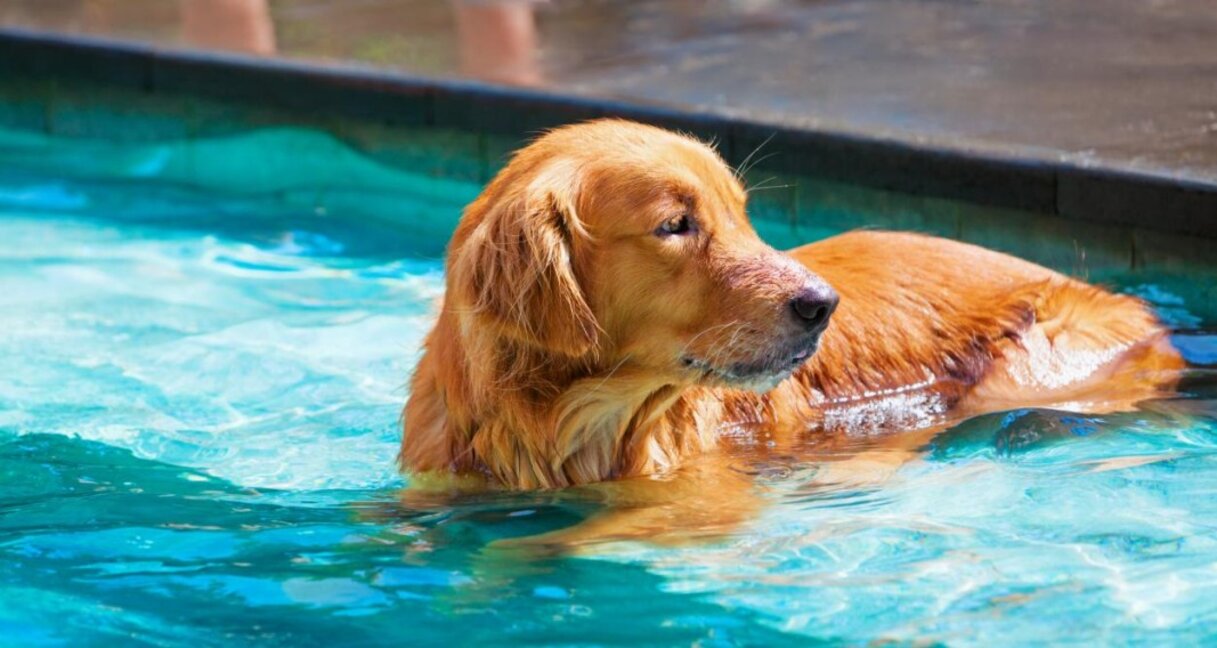 Слънчева и гореща сряда