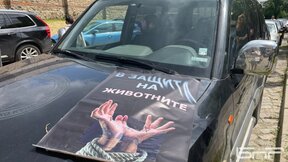 Протестно автошествие в София срещу неефективните присъди за насилниците над животни