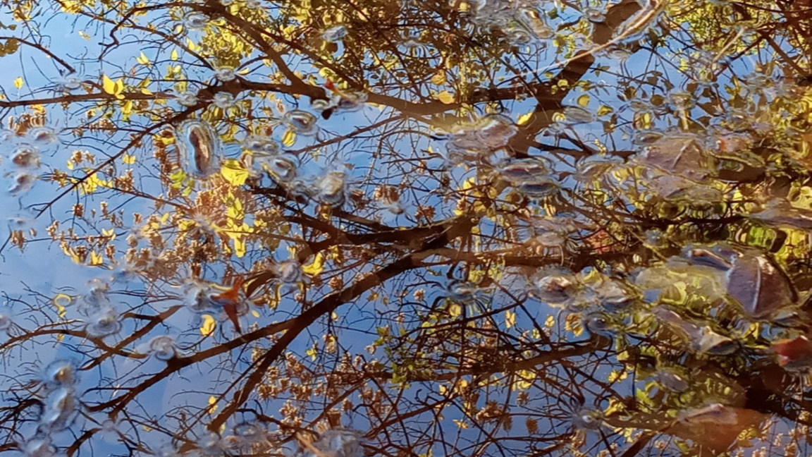 Облаци и дъжд в Западна България в сряда