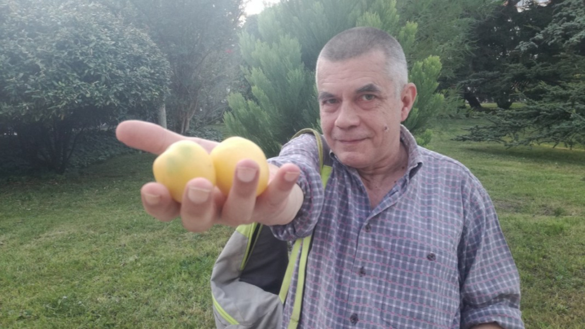 Нашите овощари трябва да се научат да използват дивите пчели