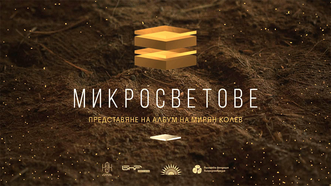 Мирян Колев акомпанира на мравки в новия си албум "Микросветове"