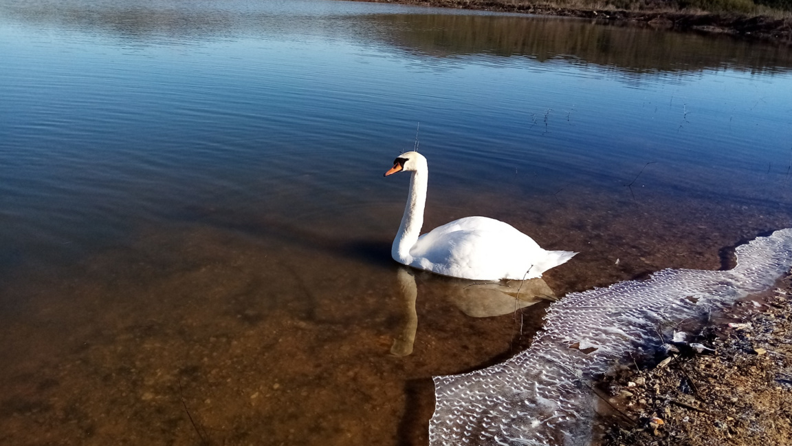 „Посоките на деня“ с Биляна Славчева