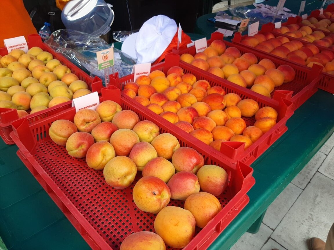 Празник на кайсията няма да има