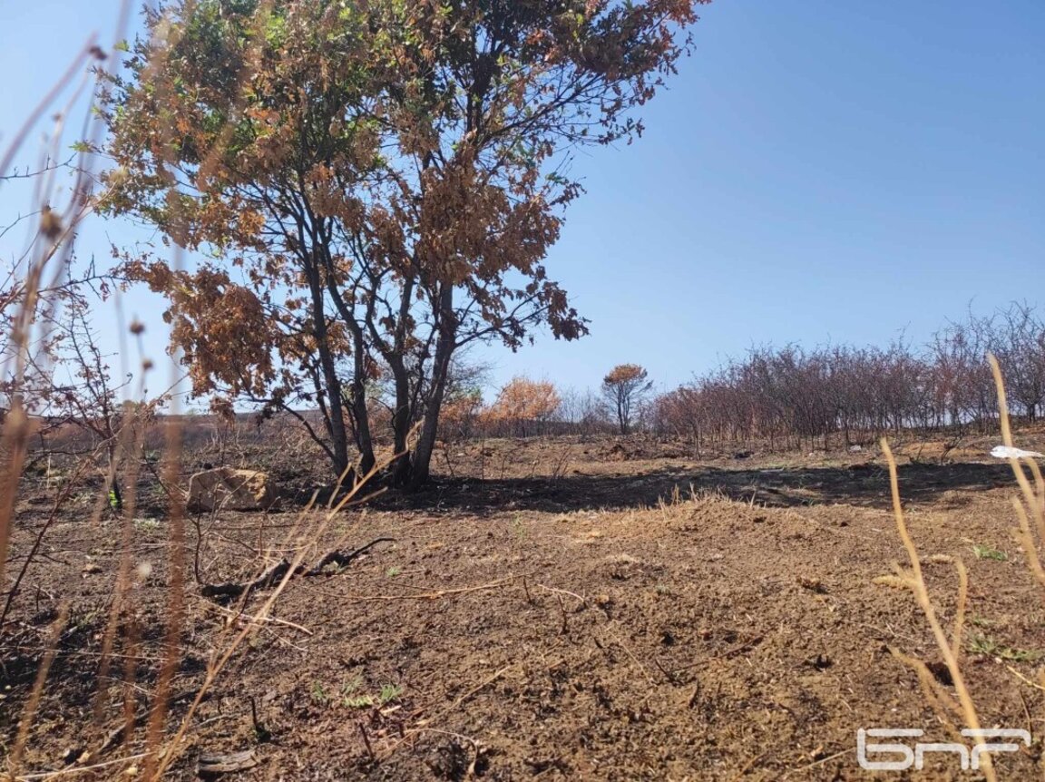 Второ денонощие огнеборците се борят с пожара между ямболските села Крайново и Голям Дервент