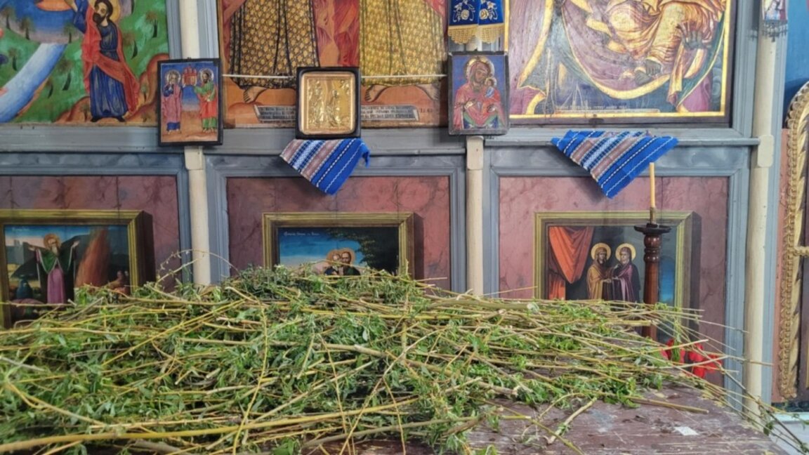 На Цветница в Кула вярващи носеха върбови клонки за освещаване в храма