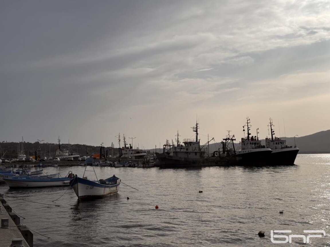 За втори път водолази ще чистят морското дъно край Созопол