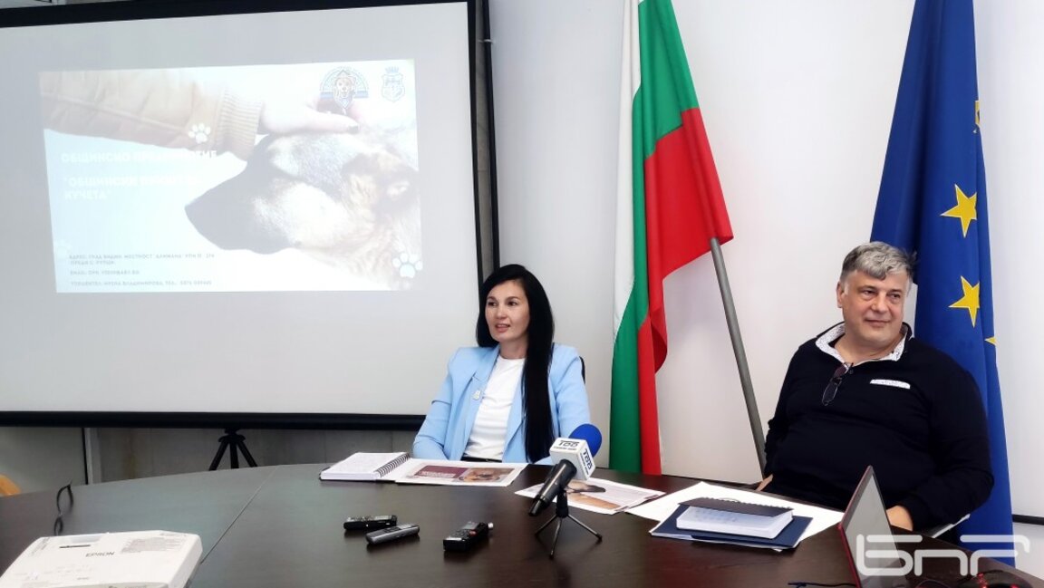 Община Видин с амбиция да се справи с бездомните кучета