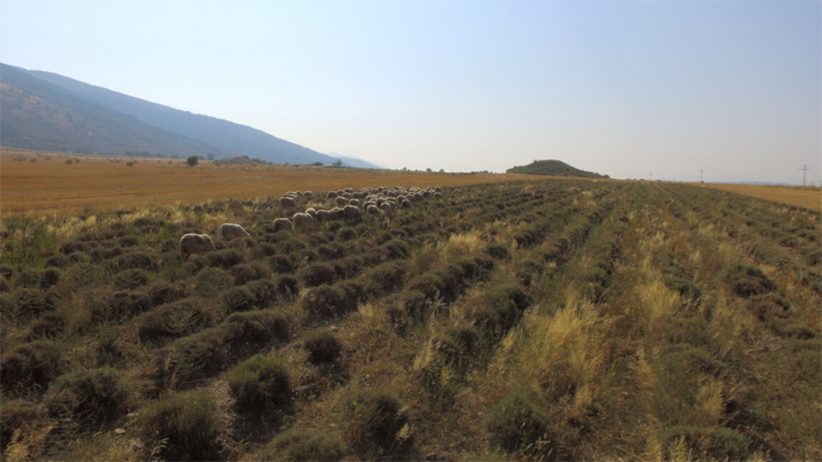 Arazi fiyatları düşüşe geçti