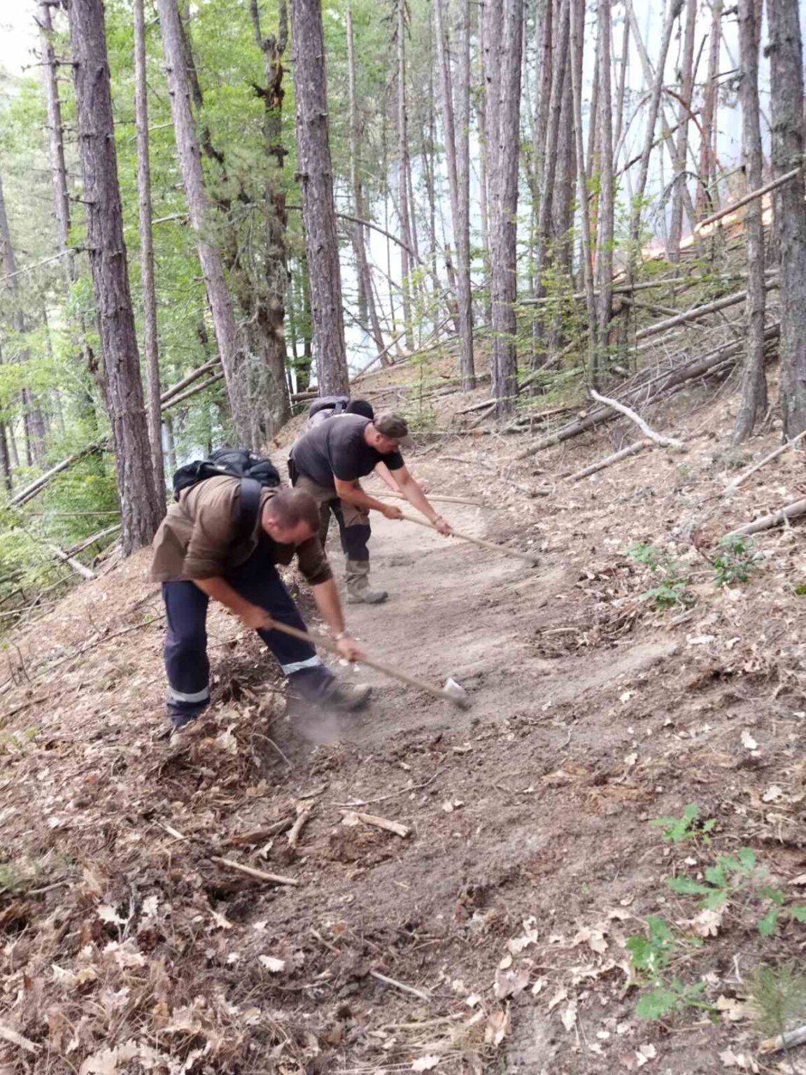 Локализираха пожара край Елешница