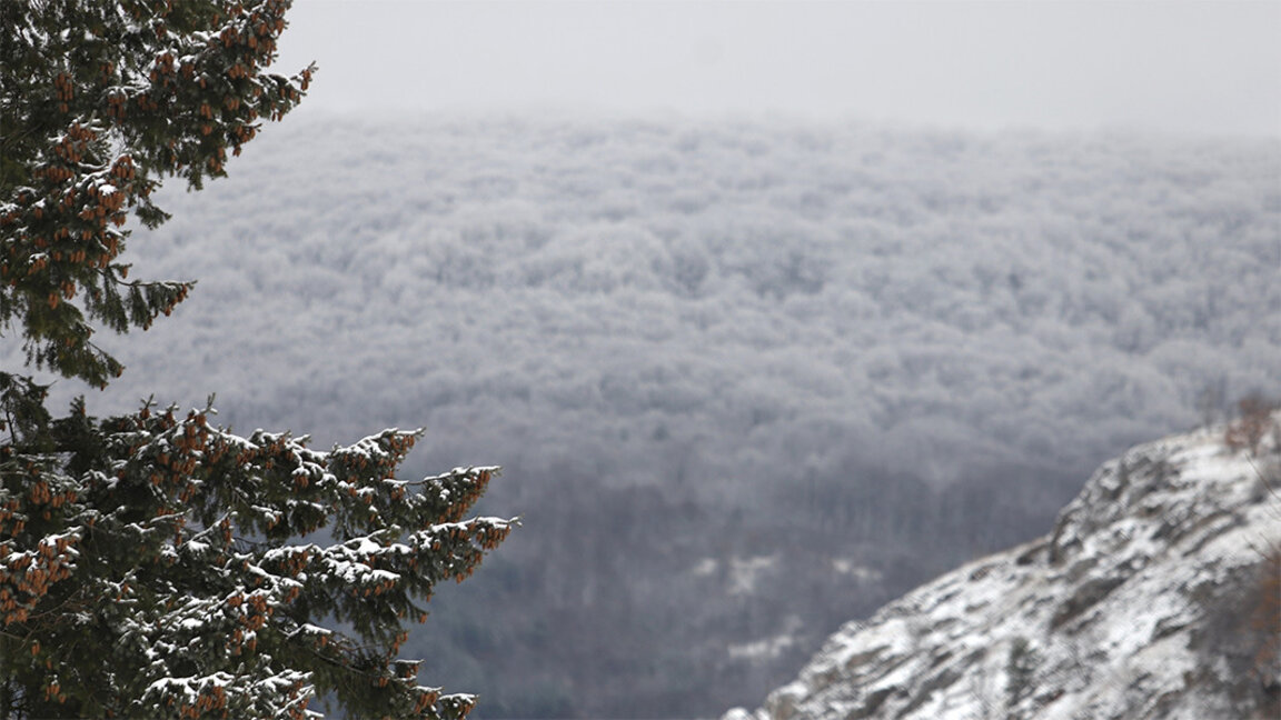 Bulutlu ve rüzgarlı havayla birlikte yağışlı hava etkili olacak