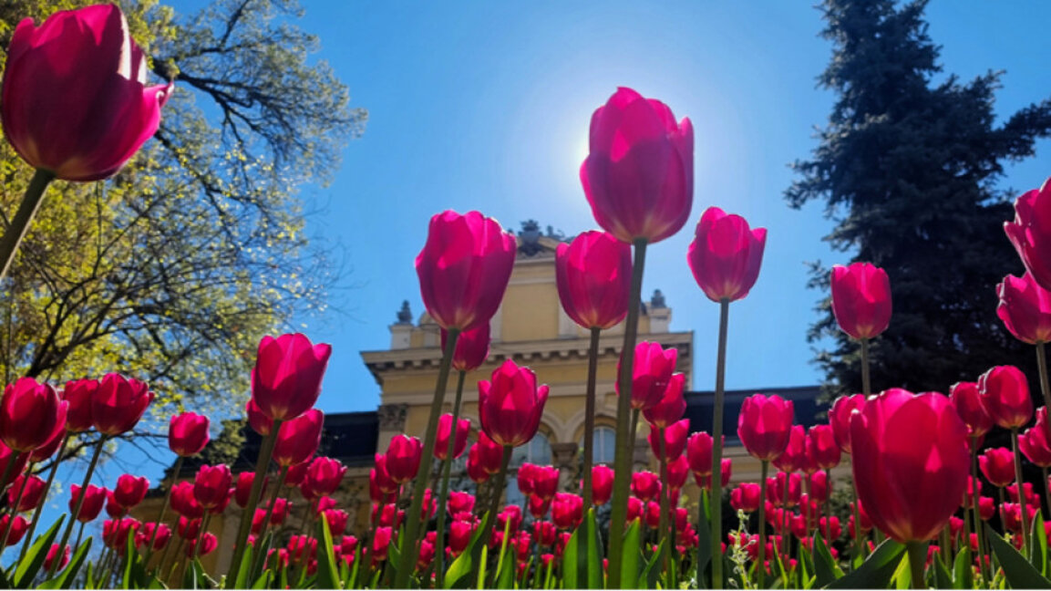 Wetteraussichten für Donnerstag, den 17. April