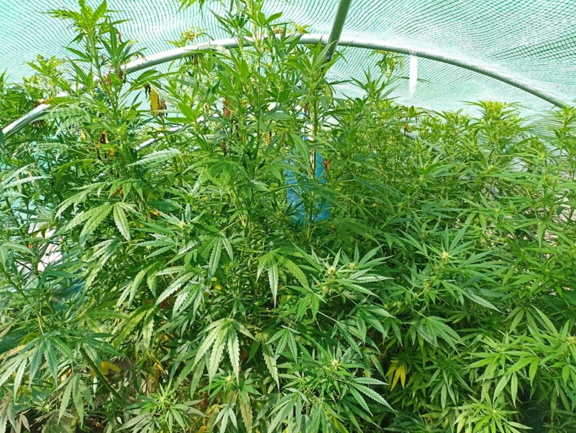 Снимката е илюстративна.