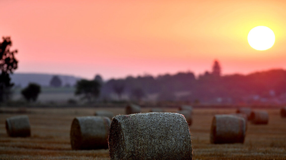 Αίθριος καιρός χωρίς ακραίες θερμοκρασίες το Σάββατο
