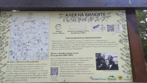 Алея на билките привлича любители на природата цяло лято 