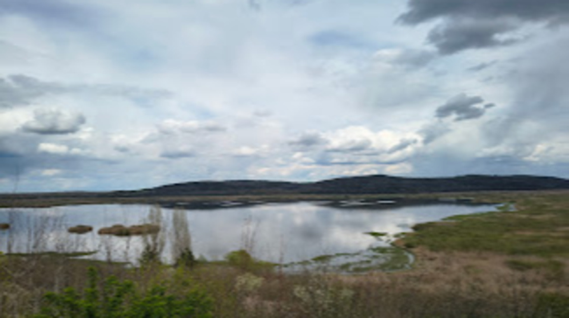 В Силистра се опасяват от увеличаване на комарите заради закъсняло пръскане